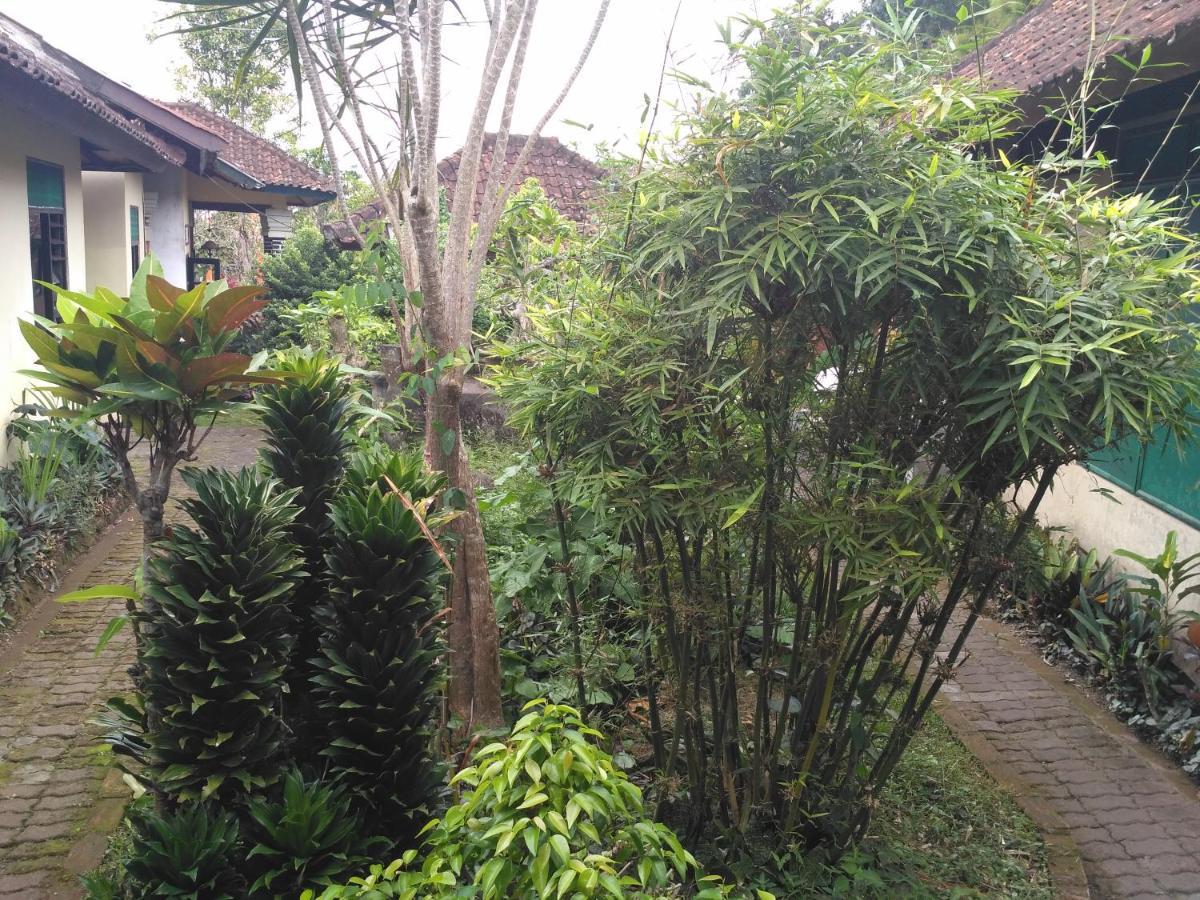 Dhangin Taman Karangasem Εξωτερικό φωτογραφία